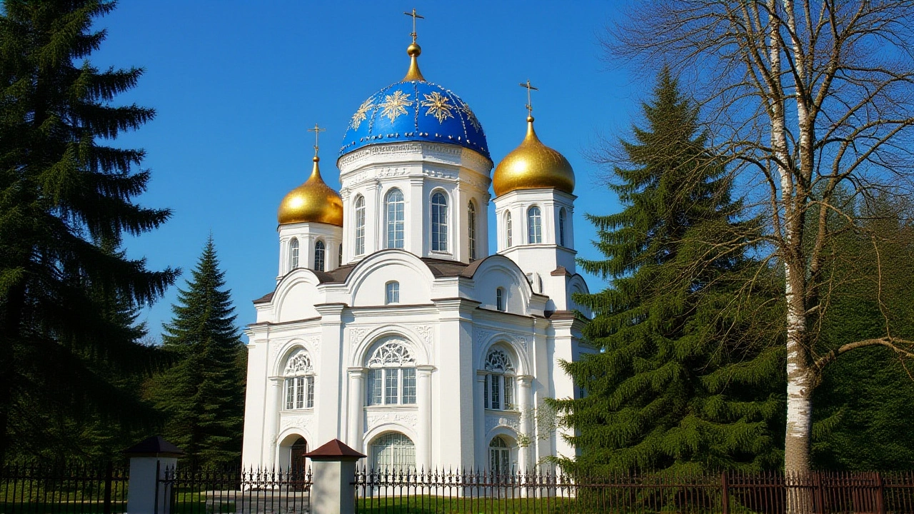 Реакция официальных лиц и общественности